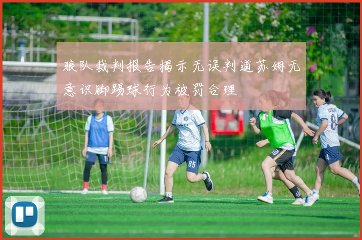 狼队裁判报告揭示无误判道苏姆无意识脚踢球行为被罚合理