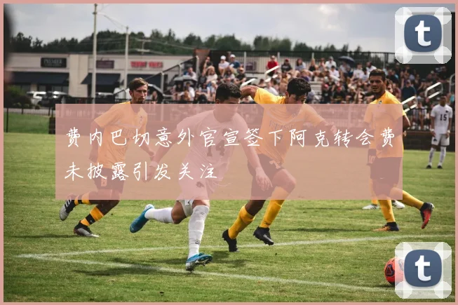 费内巴切意外官宣签下阿克转会费未披露引发关注