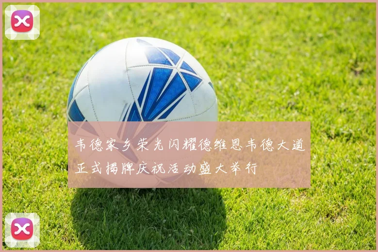 韦德家乡荣光闪耀德维恩韦德大道正式揭牌庆祝活动盛大举行